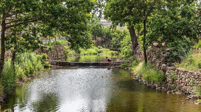威海夏天湿地美如画图片,威海最美的四季河