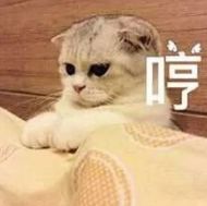 张艺兴弹琴喜剧之王,向往的生活张艺兴唱歌喜剧之王