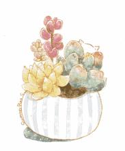 芦笋像竹子,芦笋是竹子的笋吗