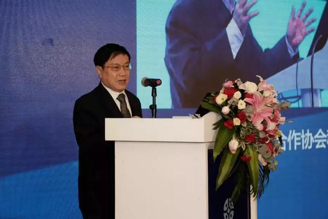 涓浗搴锋姹借溅闆嗗洟,搴锋姹借溅闆嗗洟娲诲姩