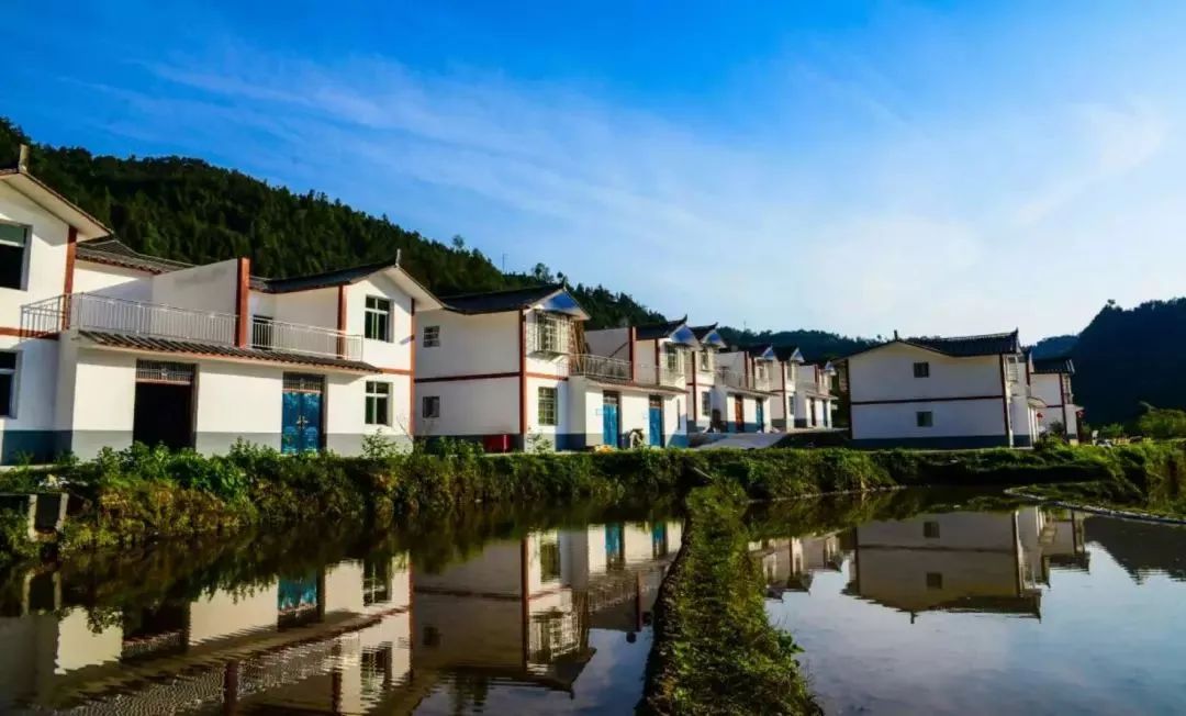 恩阳高考成绩喜报2023,恩阳高考成绩喜报