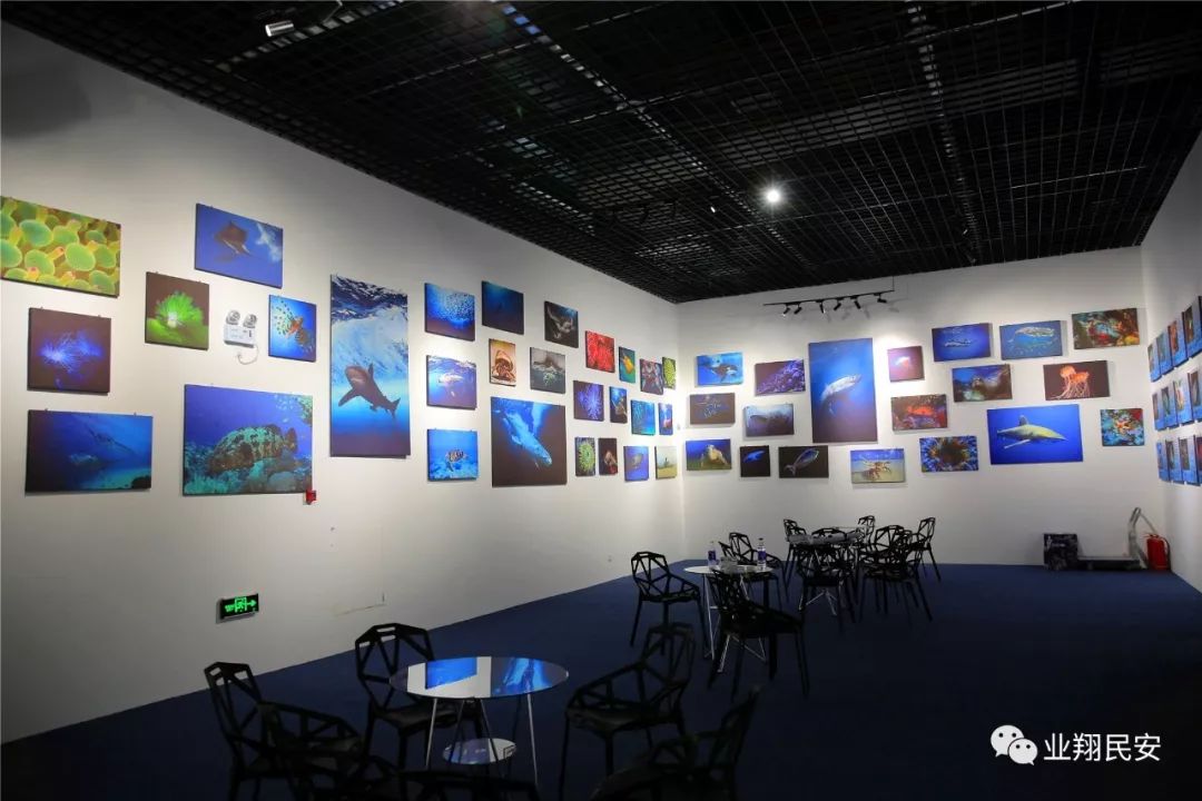 厦门翔安海洋馆门票价格,翔安澳头海洋馆