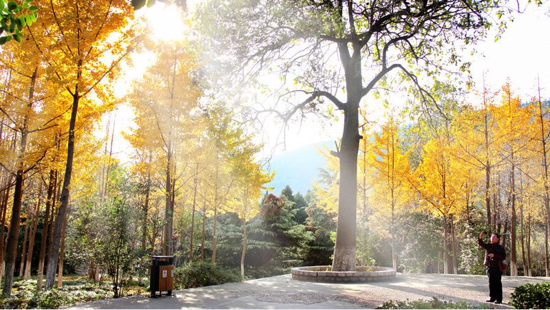 相山公园新增景点,相山公园的变化