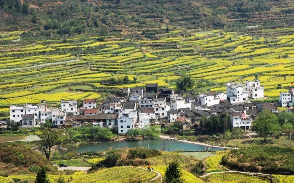 2019年什么时候考单招,有多少个省份单招政策公布了