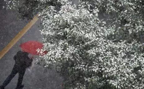 三九时间表2019,三九进九