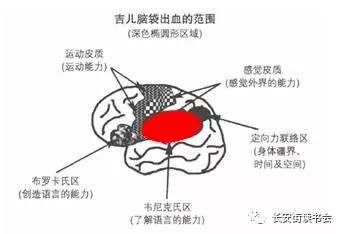 吉尔泰勒自述开悟经历,吉尔泰勒书籍