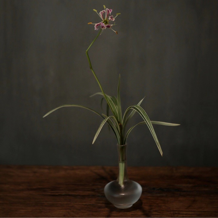 惊艳新国风家居,新款国风家居店