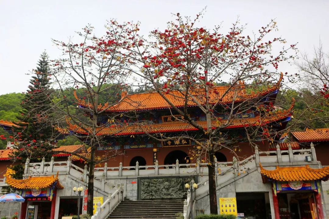 石岩离这里有多远,如今的石岩