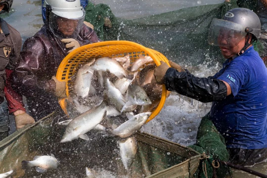 99%的斗门人都没看过的斗门，赶紧看！