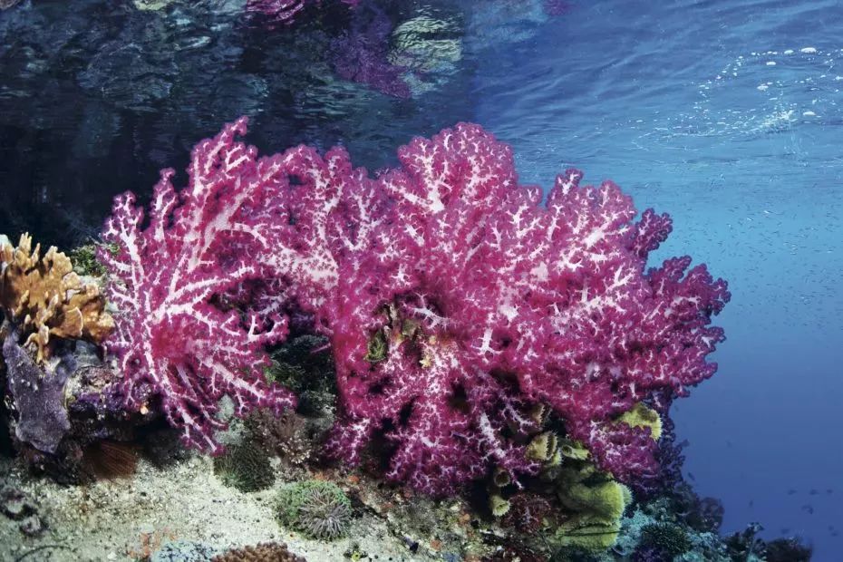 最经典的酒店logo设计,知名酒店logo有哪些