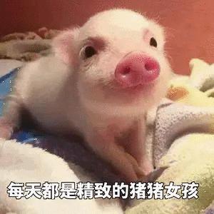 burberry宣传照和鬼片一起对比,burberry春节系列