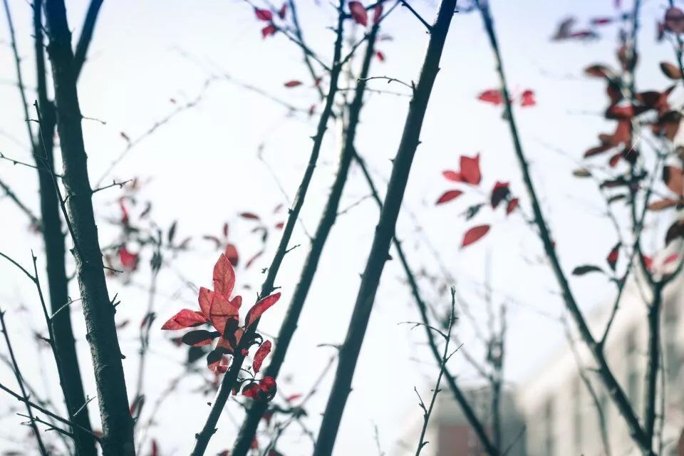 请给我来一碗“江工专属腊八粥”