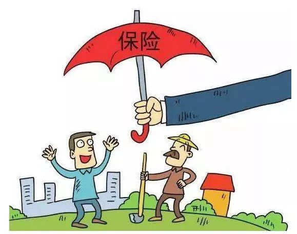 没错，又是海沧，福建第一！