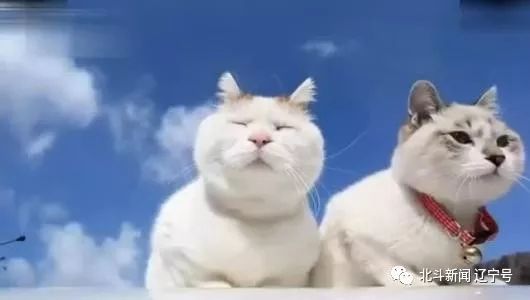 辽宁本轮冷空气降温,冷空气来袭辽宁全省大幅降温