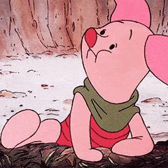 猪年限定下一次返场,猪年限定返场2020