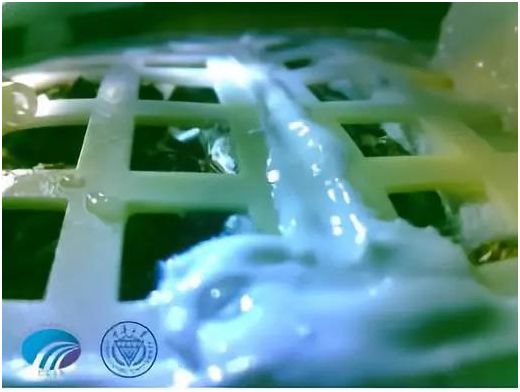 早安池州〔2019.1.16周三〕