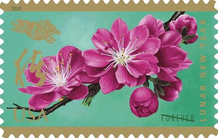 猪年邮票,猪年邮票2019升值多少