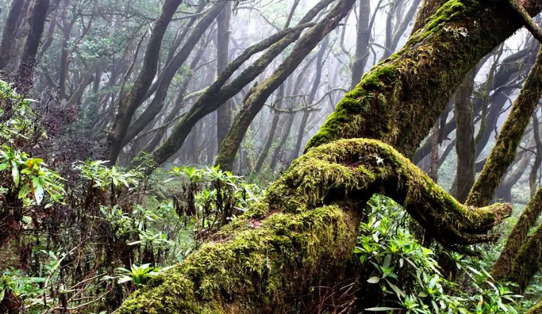 西班牙十大景点,西班牙十大风景名胜