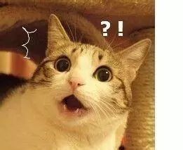 谨慎使用日本的网红眼药水,日本眼药水禁售名单