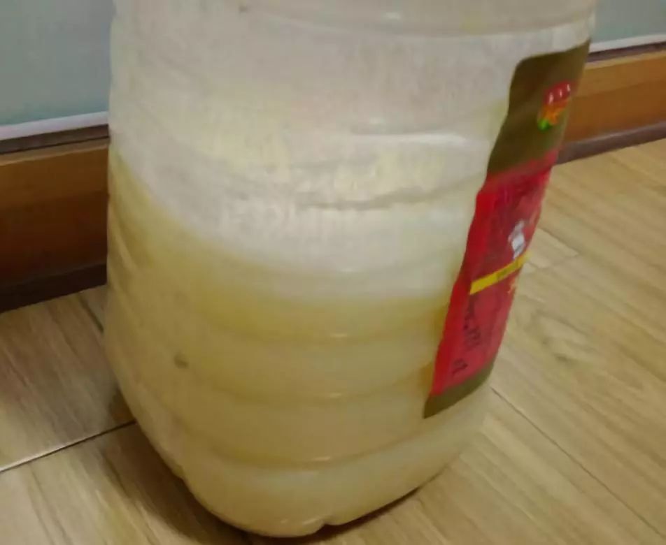 1个洋葱丢盆里，花朵砰砰开，一下能变2个头，省钱了！