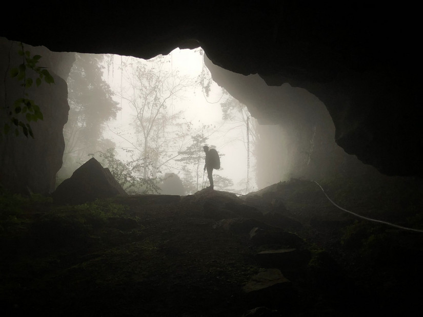 在世外桃源做傻子