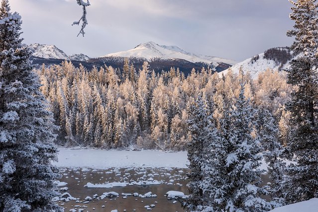 冬日喀纳斯，梦中的冰雪童话世界