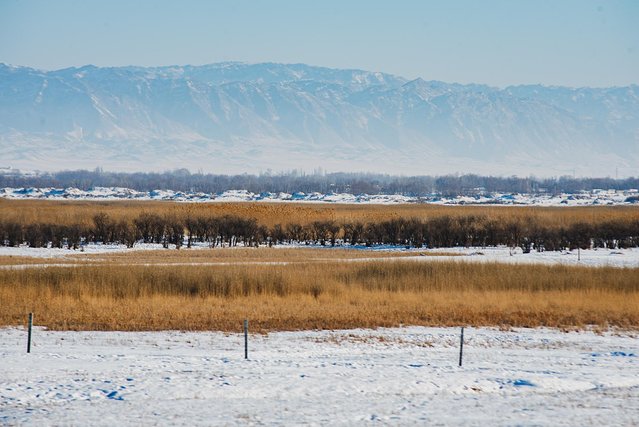 冬日喀纳斯，梦中的冰雪童话世界