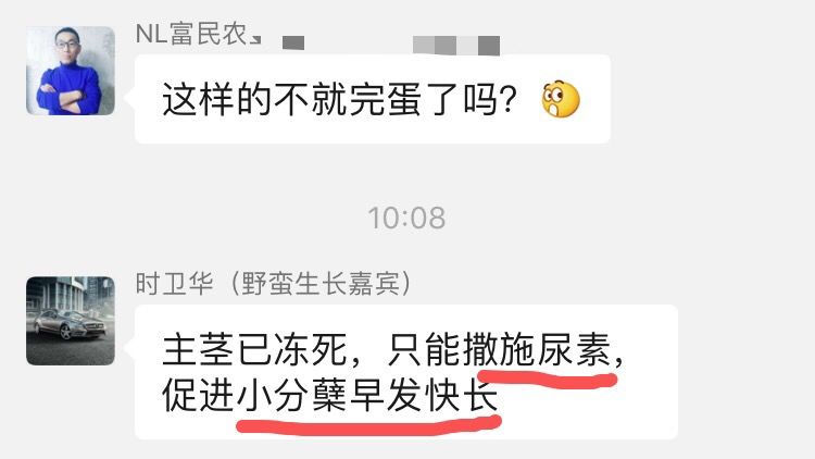 小麦最近发黄是什么原因造成,多地小麦出现发黄枯死现象