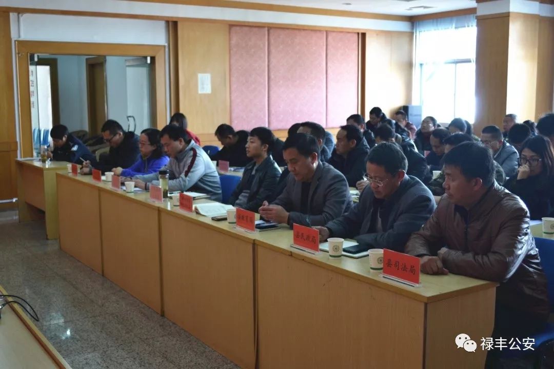 「平安五号」禄丰县人民政府召开2019年第一季度县预防道路交通事故领导小组暨县消防安全委员会联席会议