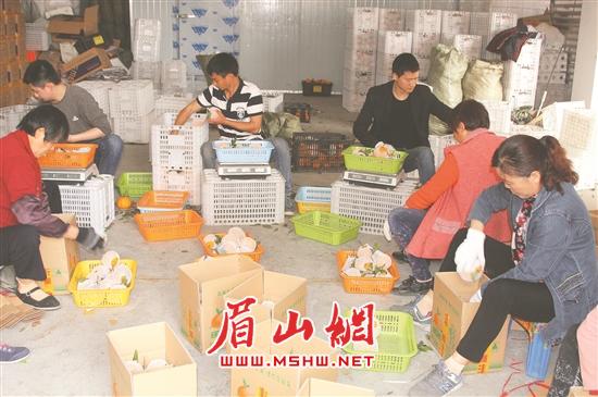 民生项目暖民心,民生造福工程