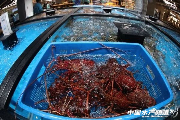 中国海鲜市场未来几年的发展,全球海鲜行业发展趋势