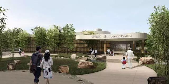 亚洲最大主题乐园,南京室内攀爬乐园