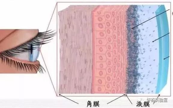 显示器太垫高容易得干眼症,办公室显示器为什么垫高