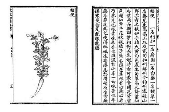 外国街头卖火爆的小吃,让外国人惊呆的中国小吃