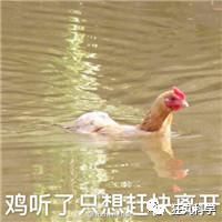 鸡头上装摄像头拍摄,鸡头摄像头拍摄视频