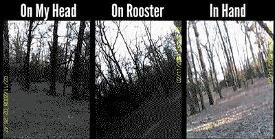 鸡头上装摄像头拍摄,鸡头摄像头拍摄视频