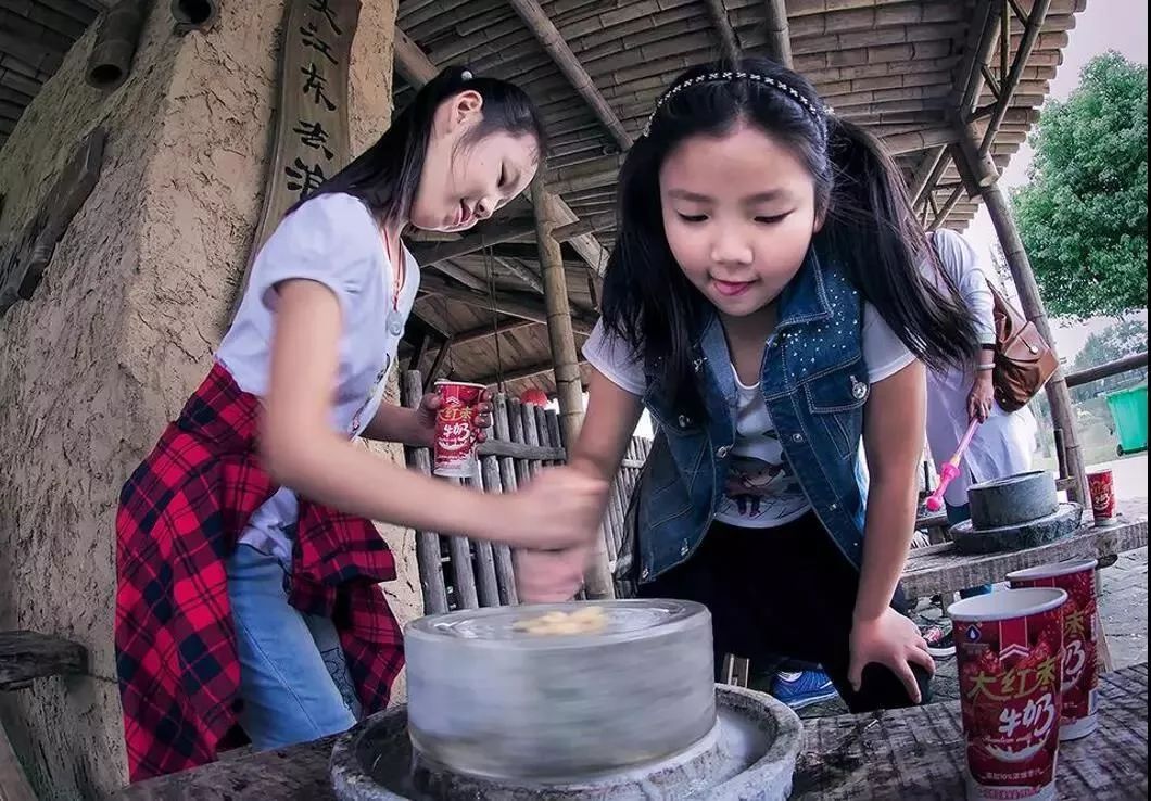 200亩，游客年超30万！这个用枯树建成的农庄，为啥这么牛？