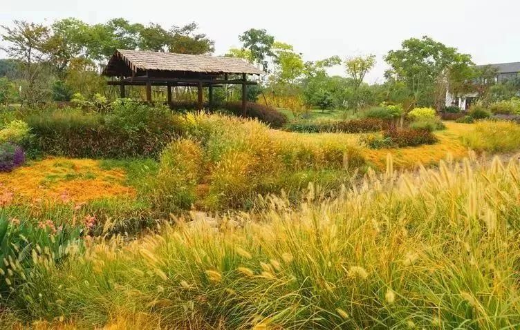 「收藏」不能错过的小美好！上海12个月行走指南来啦