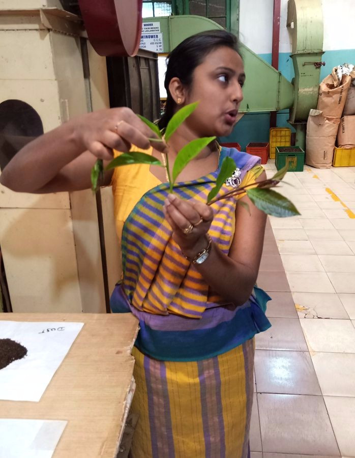 斯里兰卡农村真实生活视频,斯里兰卡华人真实生活视频