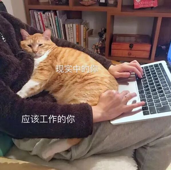 年终奖理财技巧和方法,年终奖理财攻略钱越花越多