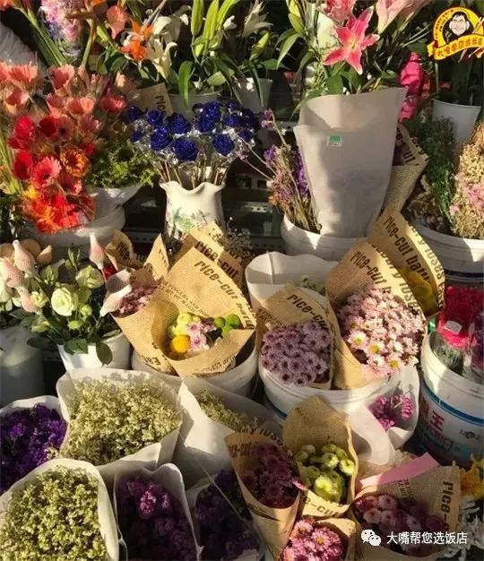 大连免费赏花好去处,逛遍大连