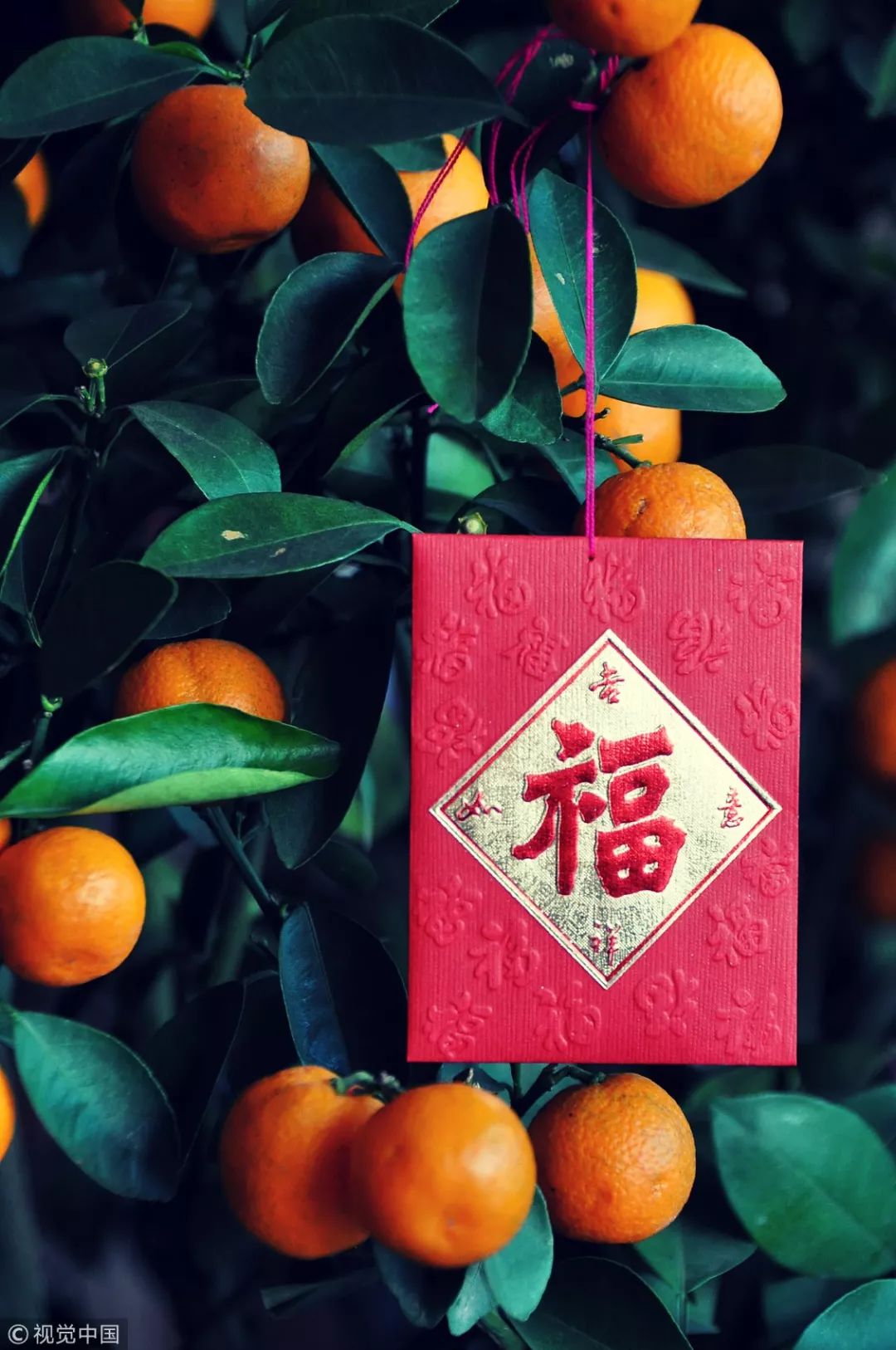 微节日,今日小年微头条