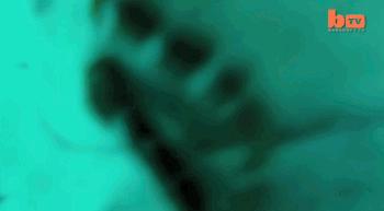 被北极熊追杀，抓拍鲨鱼咬向自己的瞬间……68岁摄影师玩命告诉你：为什么外国人这么少？