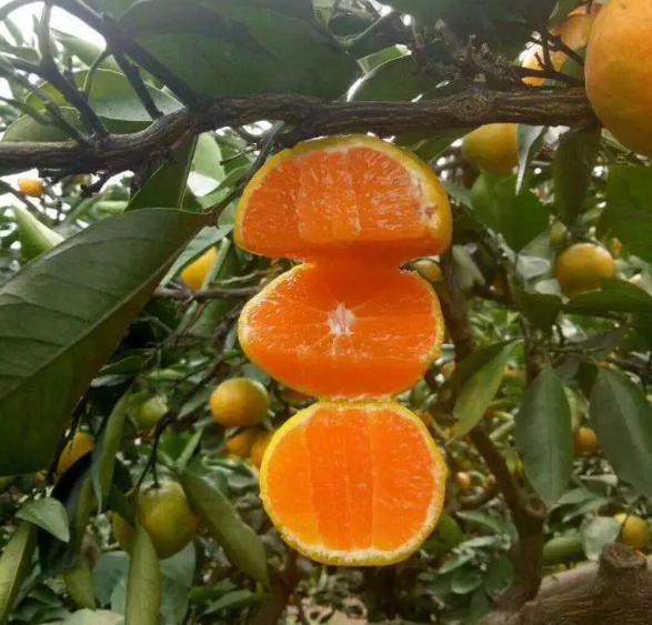 快手赚钱的途径有哪些,快手上的赚钱方法可靠吗