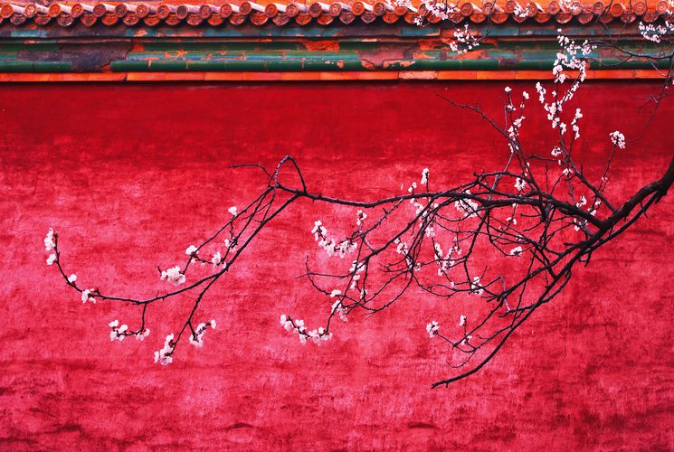 内含福利！600岁故宫又上新，来魔都开“分殿”！get来自紫禁城的皇家新年礼物，街上最靓的崽就是你