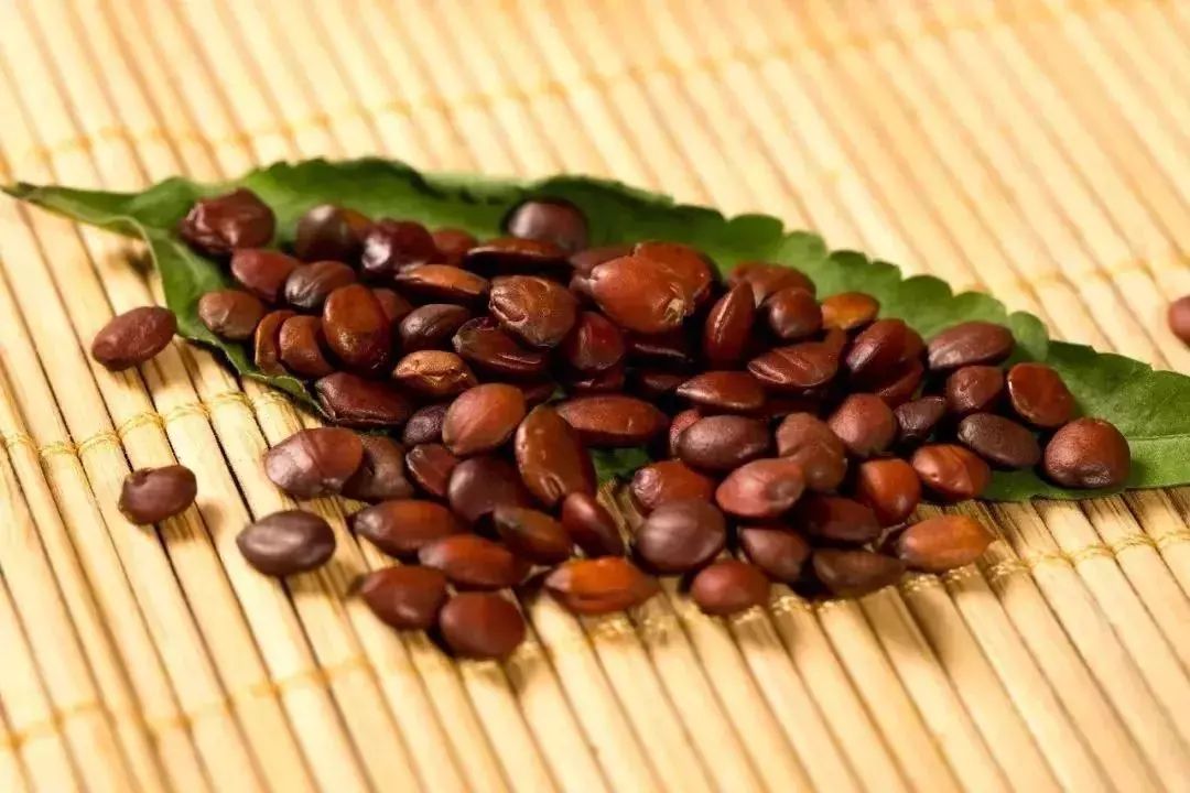 长时间失眠喝什么能助眠,晚上失眠吃最简单东西改善