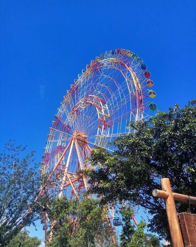 越南介绍媳妇到中国需要避哪些坑,普吉岛自由行攻略
