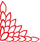 走进荷兰“花花世界”，五大赏花攻略总有一款适合您！骑行/直升机，逛花园花田，跟着花农的脚步走过这个春天