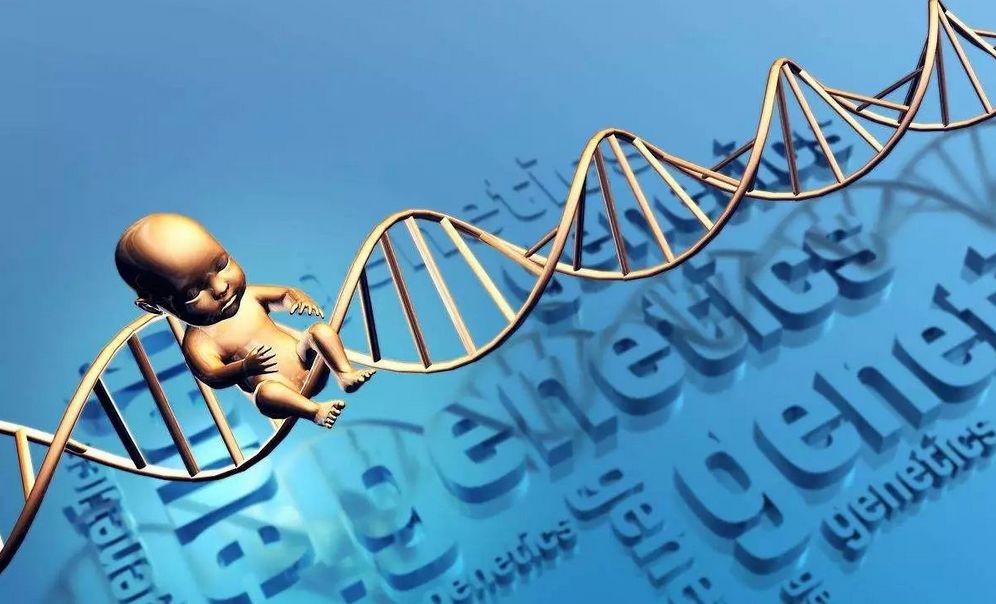 社会舆情热点女性事件,近期关于妇女儿童的热点事件