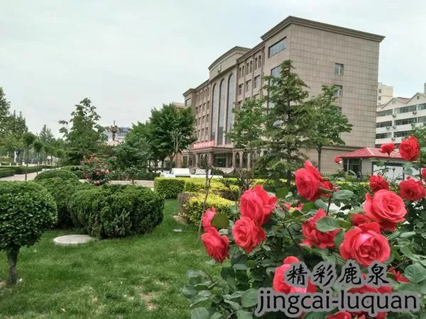 2018鹿泉的“政府帐本”来了！